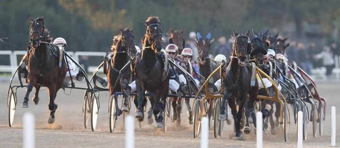 Gran premio Lotteria: i 24 cavalli ammessi alla corsa del primo maggio 
