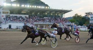 'Lungomare Trot Race': una corsa di cavalli in città