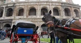 Roma, carrozzelle per turisti sotto accusa: ministero sollecita Comune "Garantire la salute dei cavalli"