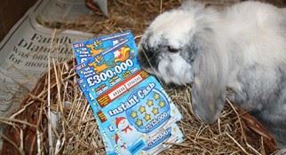 Channel Islands: sbancata la lotteria di Natale