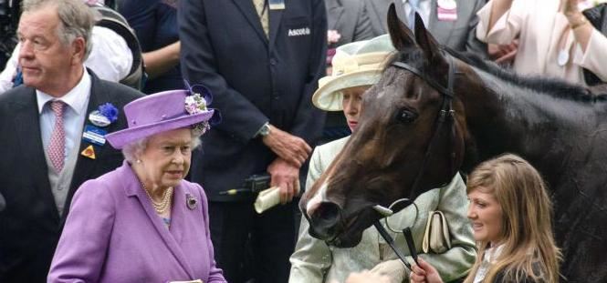 Cavallo della Regina positivo all'antidoping: a rischio il titolo