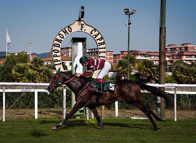 Ippodromo Livorno sotto la lente del Mipaaf, Sistema cavallo: 'Pronti per correre dal 6 novembre'