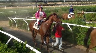 Ippica, le corse del weekend: i cavalli vincenti a Merano e Siracusa