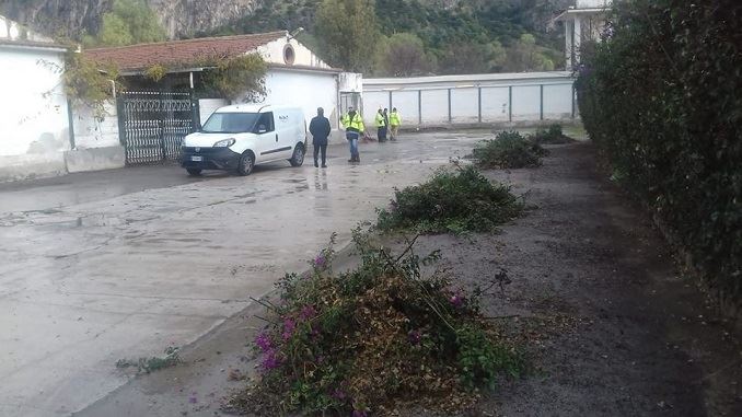Ippodromo Palermo: proposte al vaglio, iniziata pulizia della struttura