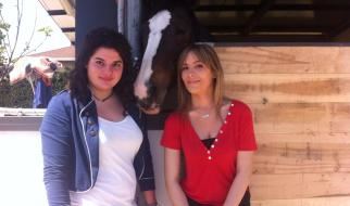 Chubby Horse ‘Cavallo Paffuto’: “In cerca d’adozione grazie a Victoria e Martina”