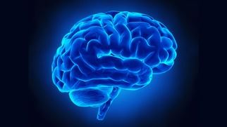 Lo studio del cervello per un trattamento più efficace del gioco patologico