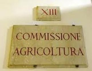 Promozione settore ippico, commissione Agricoltura Camera riprende esame dei disegni di legge