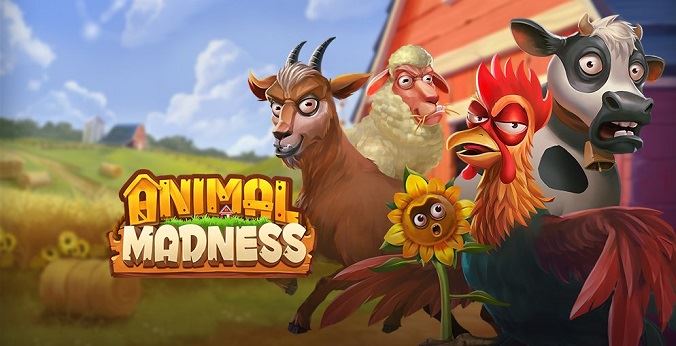 It’s just Animal Madness!