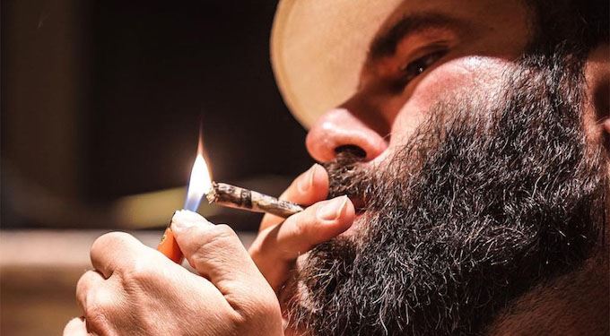 Il Fisco Usa indaga su Ignite, la società di cannabis di Dan Bilzerian