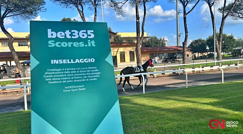 Bbetbet365insellaggio.jpeg