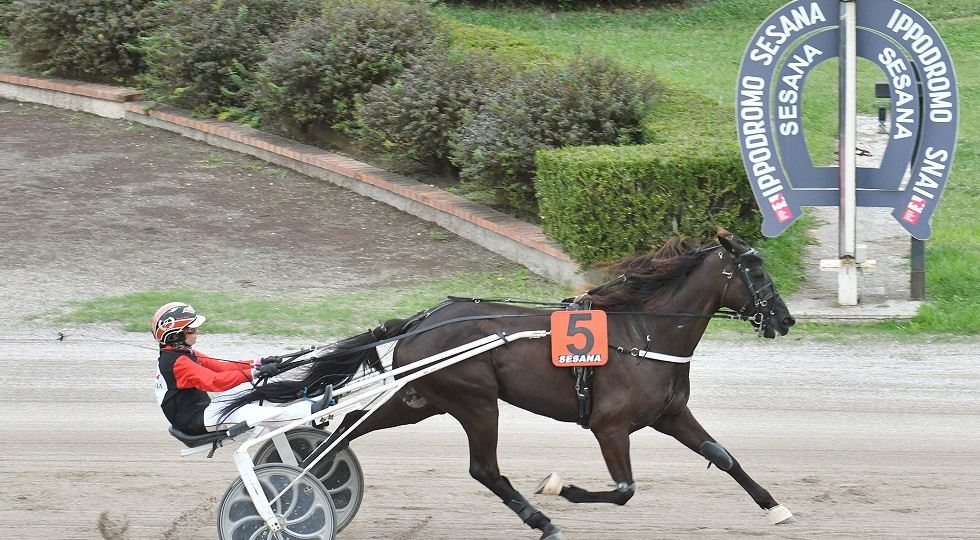 Foto Rosellini - Snaitech (Premio Associazione Giuliasmile Aps - ippodromo Snai Sesana)