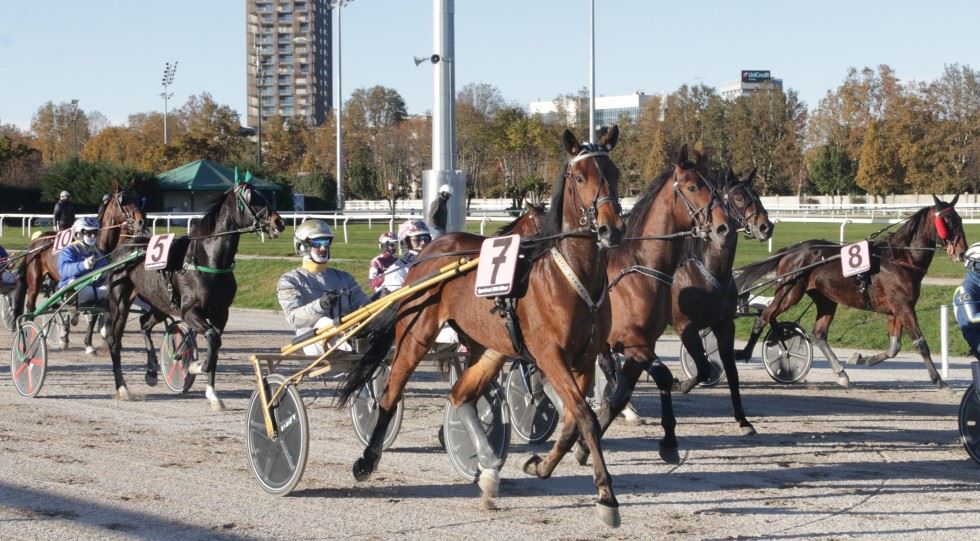 TROTTO_IPPODROMO SNAI SAN SIRO MILANO - Foto Dena - Snaitech.jpg