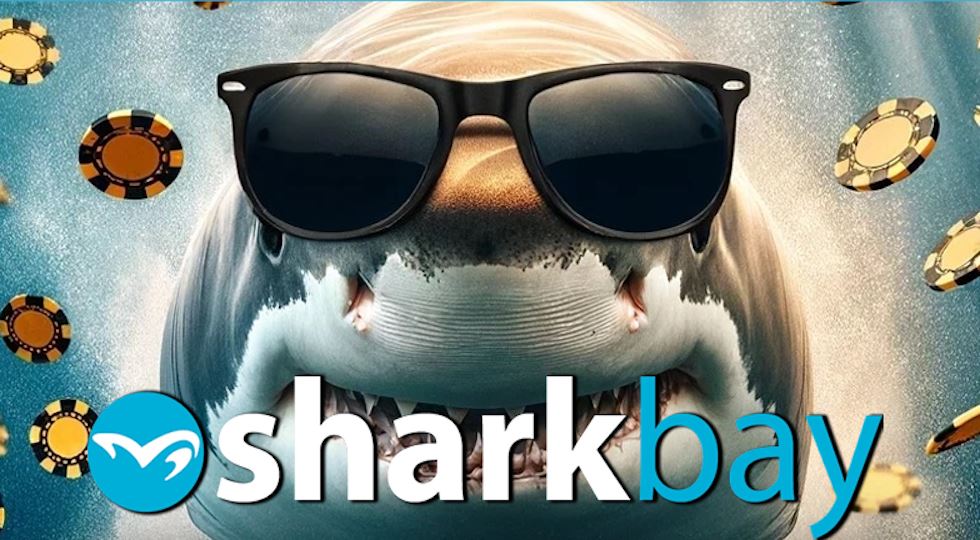 sharkbaylogo.png