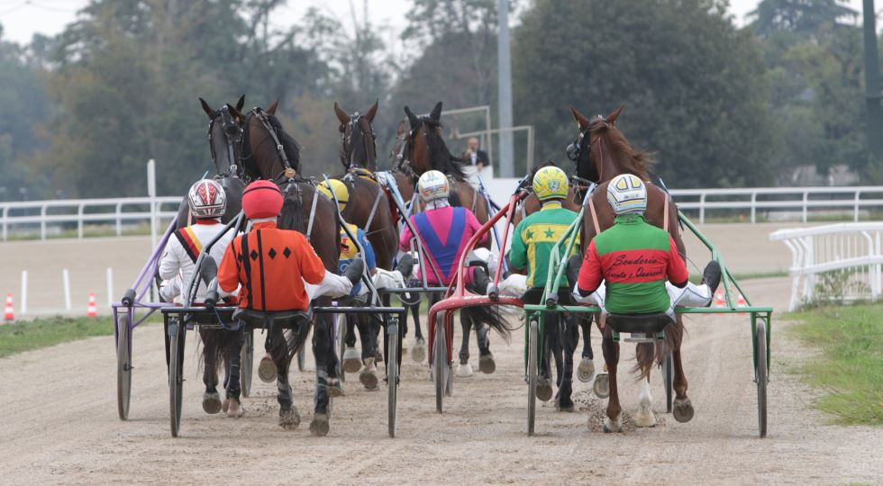 TROTTO IPPODROMO SNAI SAN SIRO MILANO_011224_Foto Dena-Snaitech.png