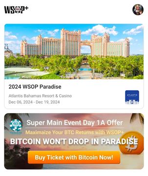 wsopappparadise.jpeg