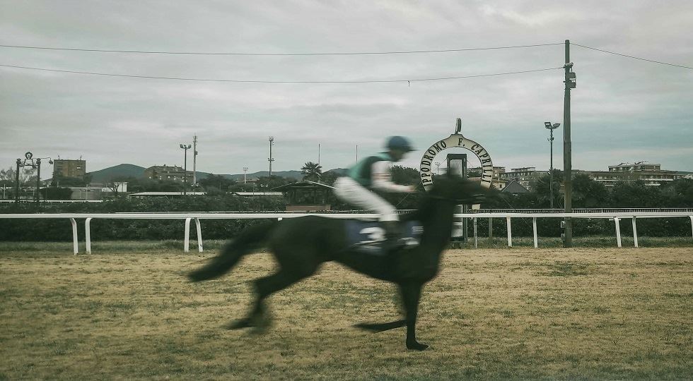 L'ippodromo Caprilli di Livorno © Federico Fratini  