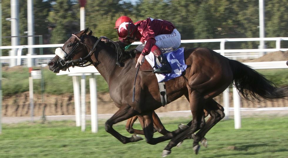 Foto Dena - Snaitech (Premio Bessero - ippodromo Snai San Siro)